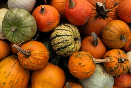 Pumpkin: A Hidden Health Powerhouse Beyond Holiday Seasons