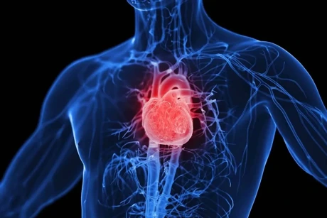 8 Daily Habits That Silently Drain Your Heart Health… Here’s How to Protect Yourself