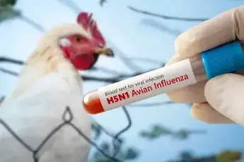 🦠 Bird Flu Sweeps Across Germany: Experts Warn of Widespread Outbreak Among Wild and Domestic Birds
